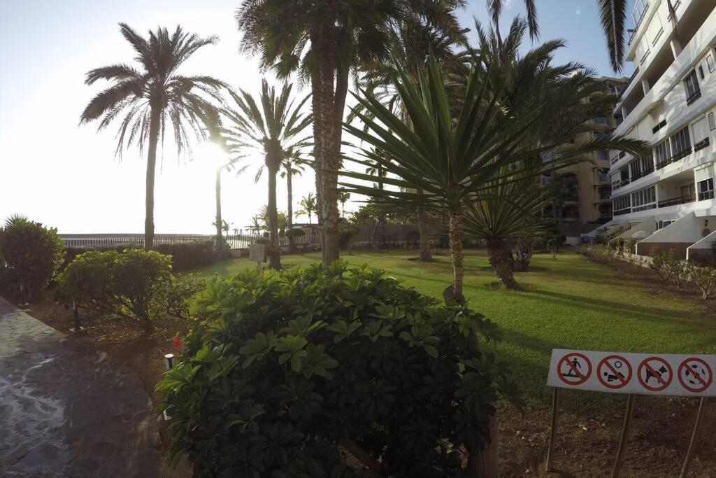 Studio Apartment La Lajilla Located At Beachfront Arguineguin Buitenkant foto